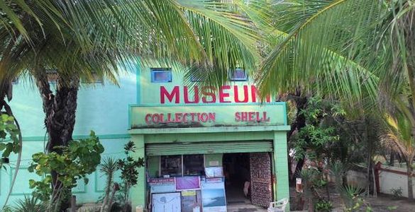 Seashell Museum - Diu
