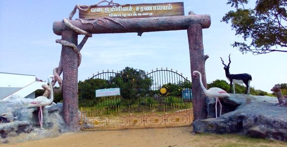 Point Calimere Wildlife Sanctuary - Vedharanyam