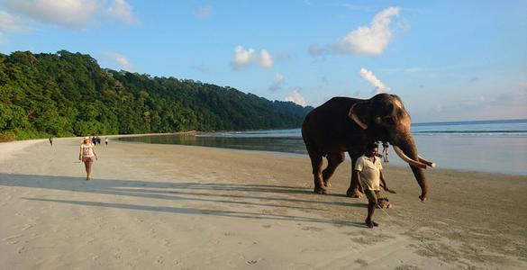 Elephant Beach- Andaman Nicobar Islands